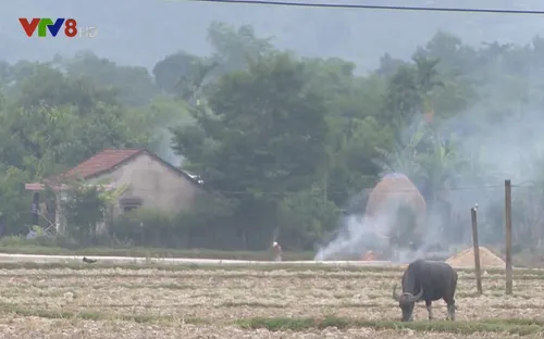 Vướng mắc trong xây dựng khu Nông thôn mới kiểu mẫu