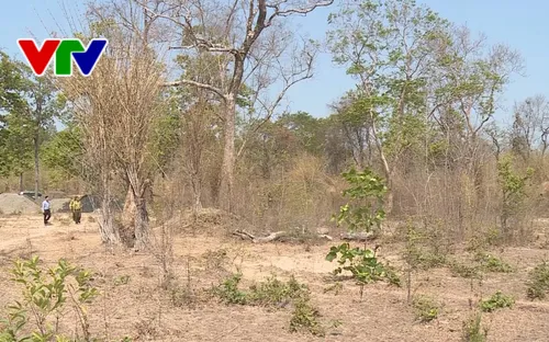 Tăng cường công tác bảo vệ rừng khu vực biên giới Tây Nguyên