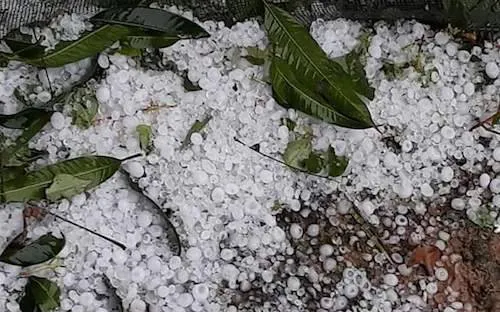 Gió lốc kèm mưa đá gây thiệt hại lớn nhà cửa hoa màu tại Khánh Hòa