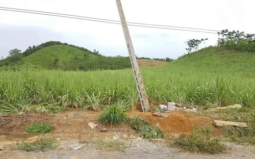 Làm rõ trách nhiệm vụ 4 người bị điện giật tử vong tại Nghệ An