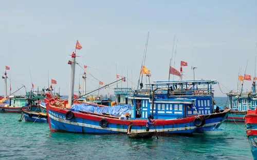 Vì sao ngư dân chưa được hỗ trợ vốn vay theo Quyết định 12 của Chính phủ