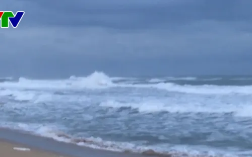 Quảng Ngãi: Hơn 1.100 tàu cá chưa vào bờ trú bão; hơn 2.000 du khách bị kẹt ở đảo Lý Sơn