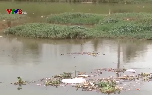 Rác thải nông nghiệp tràn ngập các hồ nước tại Đà Lạt