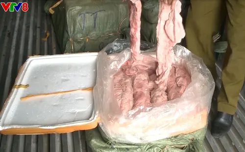 Đà Nẵng bắt xe container vận chuyển thịt động vật hôi thối không rõ nguồn gốc