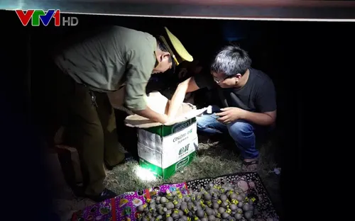 Thu giữ gần 200kg pháo lậu tại Nghệ An