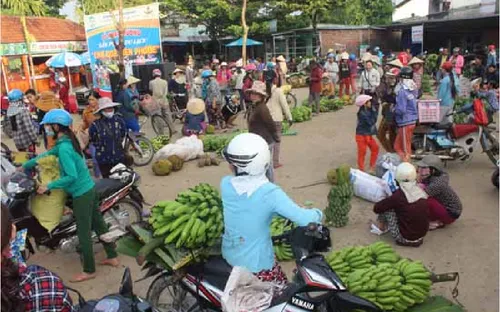Độc đáo chợ quê Tiên Phước, Quảng Nam