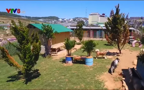 Khu vườn thú cưng