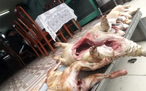 Cảnh bảo sử dụng thịt thú rừng