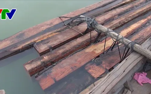 Quảng Nam gia tăng tình trạng vận chuyển gỗ lậu đường sông