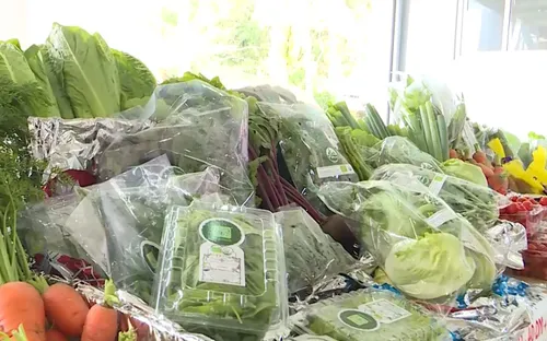 Lâm Đồng tập trung phát triển nông nghiệp hữu cơ trên rau quả và cây chè