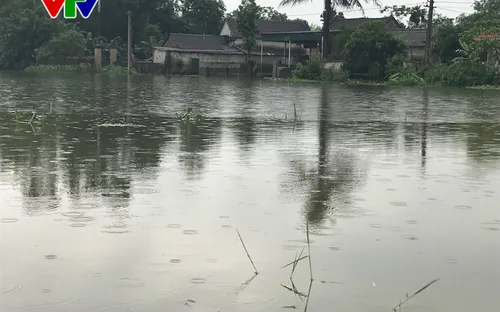 Nghệ An: Nhiều diện tích lúa bị ngập nặng sau bão số 3