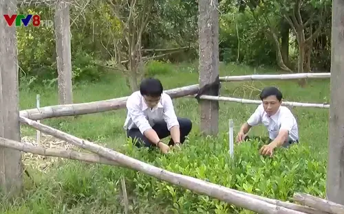 Hướng đến nền nông nghiệp xanh