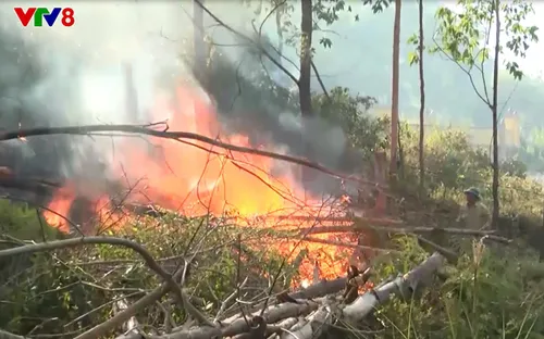 Hà Tĩnh liên tiếp xảy ra cháy rừng