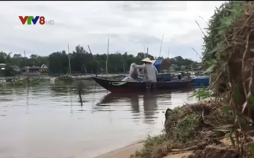 Sạt lở sông Tam Kỳ uy hiếp khu dân cư