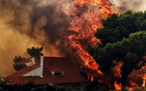 Cháy rừng dữ dội ở Hy Lạp: Số người chết lên đến 50 người