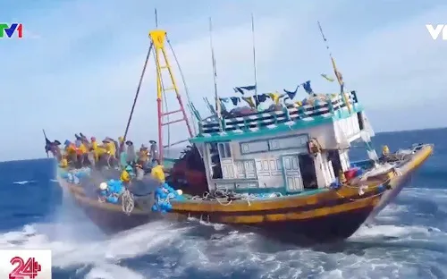 Giã cào bay hoành hành trên vùng biển Tuy Phong, Bình Thuận