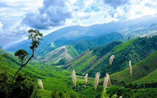 Trực tiếp 20h15 tối nay (27/7) trên VTV8: "Trường Sơn Đông gọi Trường Sơn Tây - Đường qua A Lưới"