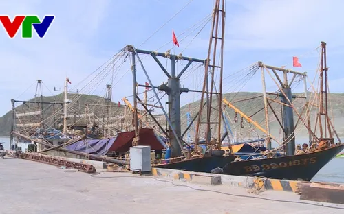 Công ty TNHH Đại Nguyên Dương chây ì tiền hỗ trợ cho ngư dân Bình Định