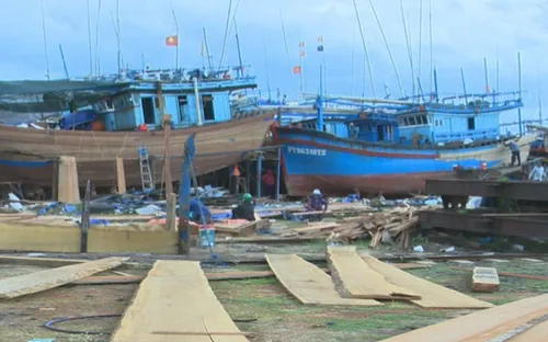 Ngư dân loay hoay trước "cơn sốt" gỗ đóng tàu