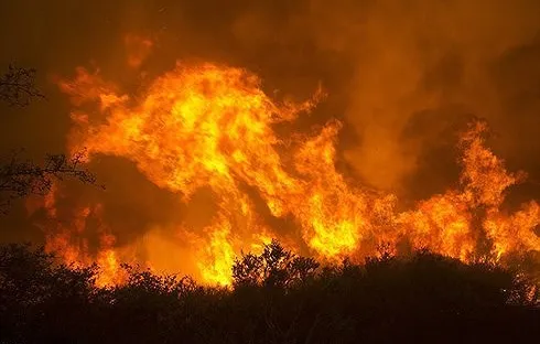 17 người mất tích do cháy rừng tại California