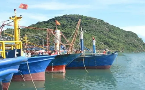 Bình Định sẽ hỗ trợ ngư dân khởi kiện nếu doanh nghiệp chây ì hỗ trợ sự cố tàu vỏ thép