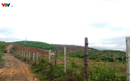 Đắk Lắk: Đất rừng phòng hộ ở Krông Năng bị lấn chiếm