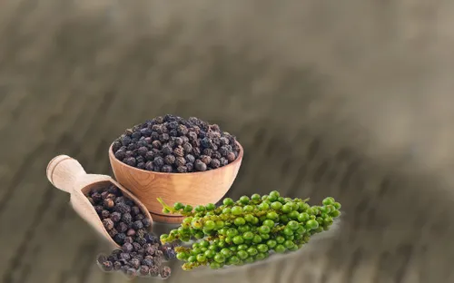 Quảng Trị công bố chỉ dẫn địa lý hạt tiêu và cấp 9 văn bằng bảo hộ nhãn hiệu tập thể