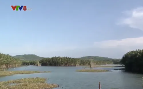 Đánh giá tác động môi trường nhà máy giấy ở Quảng Ngãi