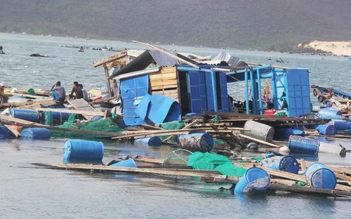 Khánh Hòa: Hủy hỗ trợ thiệt hại thủy sản sau bão số 12 đối với 175 trường hợp