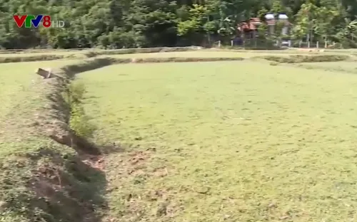 Trăn trở với "xứ nghèo khô"