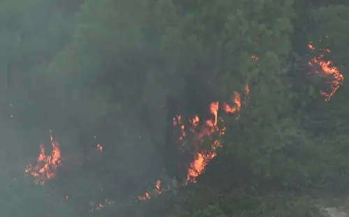 Tổng cục Lâm nghiệp: Cần nêu cao trách nhiệm trong công tác phòng chống cháy rừng