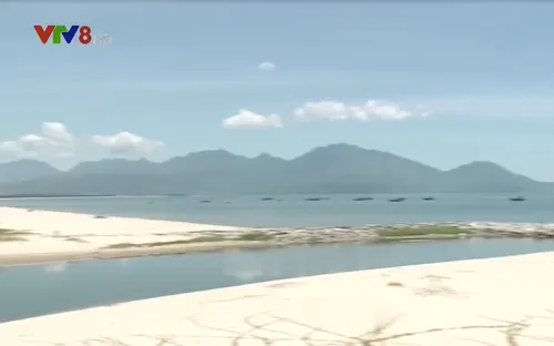 Đà Nẵng tìm nguyên nhân nước biển gây ngứa