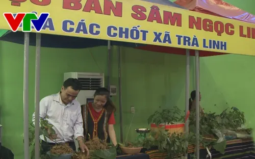 Khai mạc Hội chợ sâm Ngọc Linh và hàng nông sản lớn nhất Quảng Nam