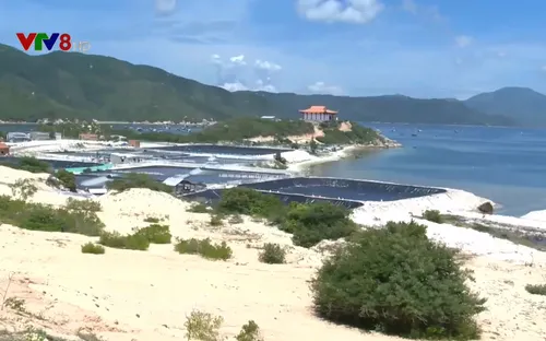 Giải quyết sức ép môi trường từ nuôi tôm trên cát