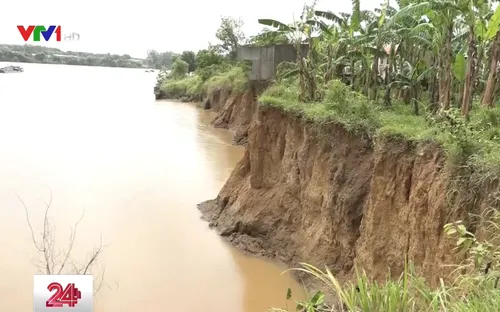 Sạt lở nghiêm trọng ven sông Đồng Nai do khai thác cát trái phép
