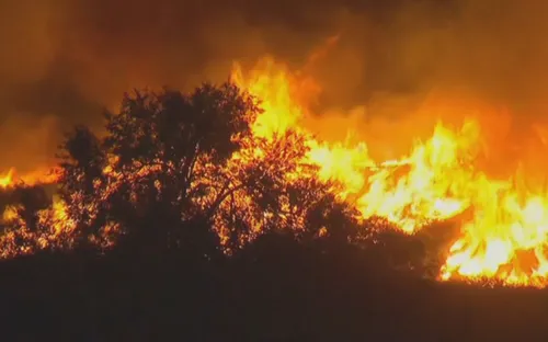 Vụ cháy rừng lịch sử bang California, Mỹ: Cộng đồng người Việt sẵn sàng phương án sơ tán