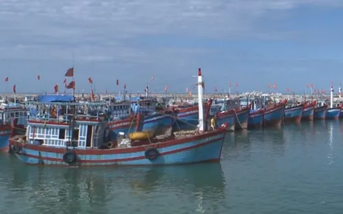 Huy động nguồn lực xây dựng 5 trung tâm nghề cá lớn trên cả nước