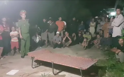 Quảng Ngãi: Đốt ong làm mồi nhậu, một người bị ong chích tử vong