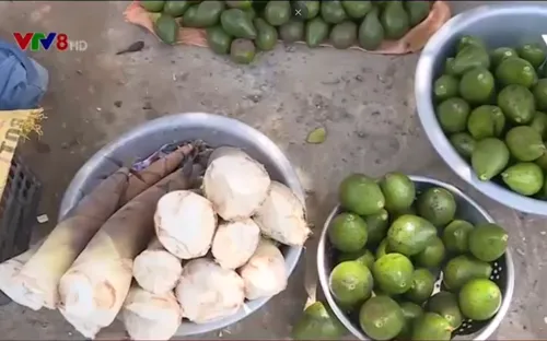 Quảng Trị phát triển mô hình du lịch cộng đồng