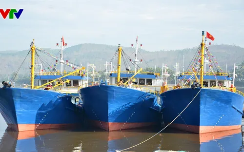Quảng Ngãi đưa vào sử dụng 64 tàu cá theo Nghị định 67