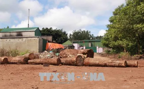 Người dân dùng gỗ, gạch đá chặn trước cổng công ty vì gây ô nhiễm môi trường