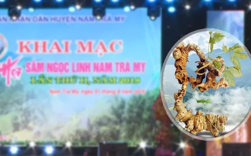 Quảng Nam: Khai mạc lễ hội sâm Ngọc Linh lần thứ 2