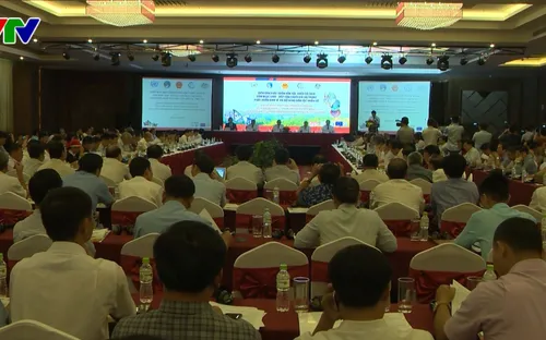 Khai mạc Diễn đàn phát triển dân tộc thiểu số 2018: Thảo luận nhân rộng mô hình trồng sâm Ngọc Linh