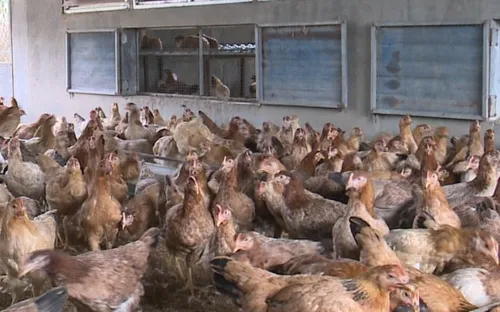 Về làng khởi nghiệp