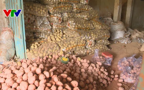 Đơn Dương vận động nhân dân tích cực tố giác giả nhãn hiệu nông sản