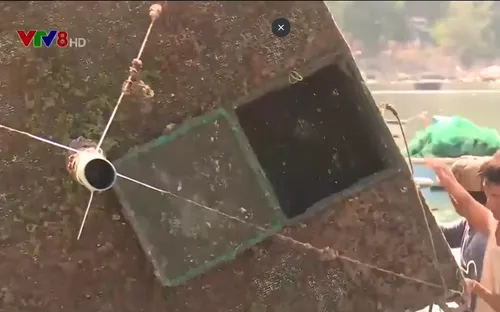 Vật liệu mới giúp vùng nuôi trồng thủy sản ứng phó thiên tai