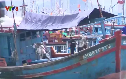 Ngăn chặn khai thác bất hợp pháp theo chuỗi liên kết