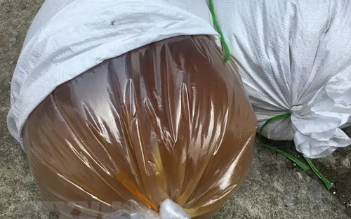 Phát hiện xe tải vận chuyển 750kg mỡ động vật không có giấy tờ hợp lệ