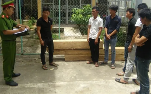 Quảng Bình: Bắt khẩn cấp nhóm đối tượng liều lĩnh vào cướp gỗ ở trạm bảo vệ rừng