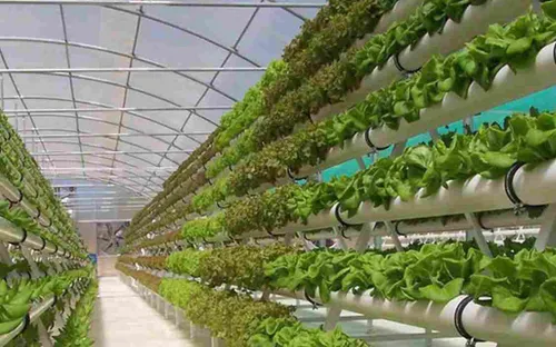 Nâng cao tính chuyên nghiệp cho du lịch canh nông